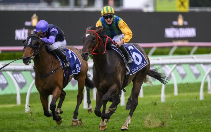 广州队的核 广州队的核